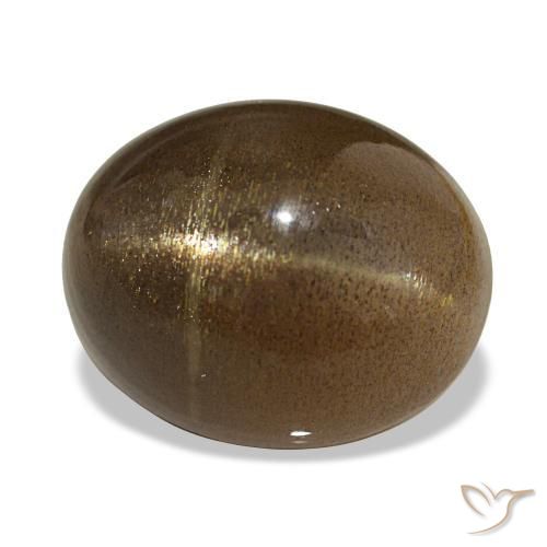 Pedra do sol estrela marrom natural 13,92ct, corte oval, opaco