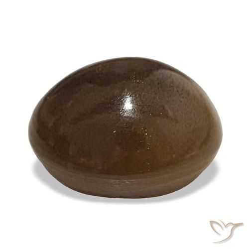 Pedra do sol estrela marrom natural 13,92ct, corte oval, opaco