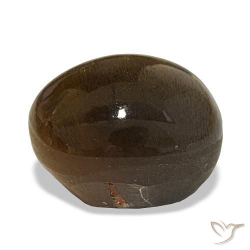 Pedra do sol estrela marrom natural 18,10ct, corte oval, opaco