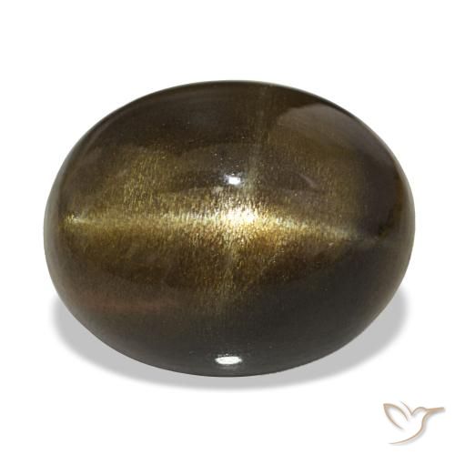 Pedra do Sol Estelar Castanho médio Natural 18.04ct, Corte Oval, Opaco