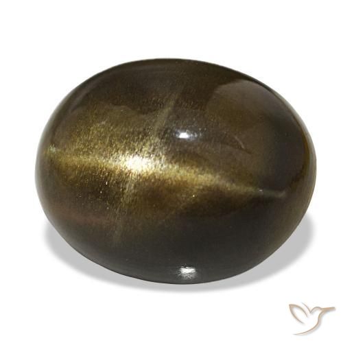 Pedra do Sol Estelar Castanho médio Natural 18.04ct, Corte Oval, Opaco