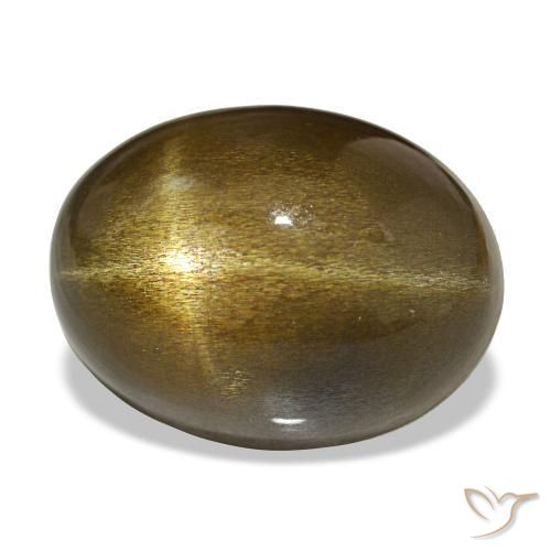 Pedra do Sol Estelar Castanho médio Natural 23.88ct, Corte Oval, Opaco