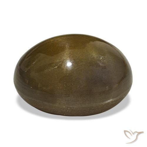 Pedra do Sol Estelar Castanho médio Natural 23.88ct, Corte Oval, Opaco