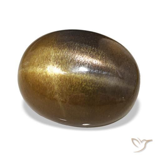 Pedra do Sol Estelar Castanho médio Natural 10.87ct, Corte Oval, Opaco