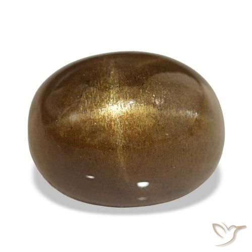 13.45ct Castanho médio Pedra do Sol Estelar, oval, Opaco