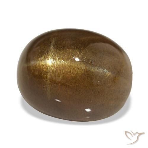 Pedra do sol estrela marrom natural 13,45ct, corte oval, opaco