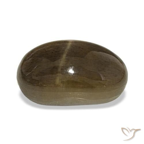 Pedra do Sol Estelar Castanho médio Natural 7.82ct, Corte Oval, Opaco