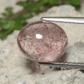 Quartzo Morango Rosa Jujuba Profundo Natural 2.94ct, oval, Translúcido