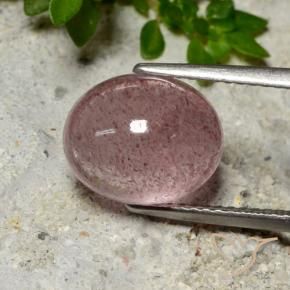 Quartzo Morango rosa rosa Natural 5.04ct, oval, Translúcido