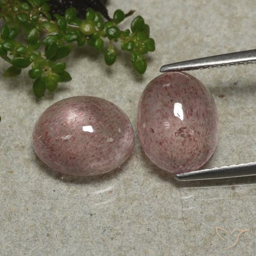 6.34ctw Natural rosa médio Quartzo Morango, oval, Translúcido