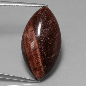 Tiger's eye matrix multicolorido natural 21,56ct, marquise, opaco