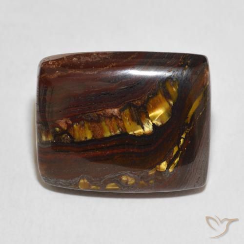 24.00ct Natural Multicolorido Matriz Olho de Tigre, Almofada, Opaco