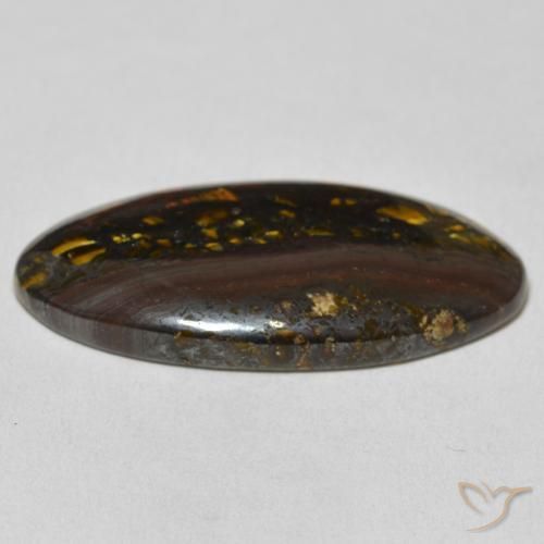 Matriz Olho de Tigre Multicolorido Natural 30.82ct, oval, Opaco