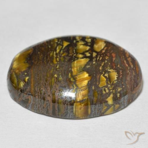 Matriz Olho de Tigre Multicolorido Natural 36.37ct, oval, Opaco
