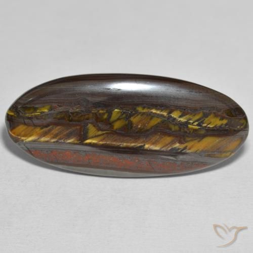 31.43ct Natural Multicolorido Matriz Olho de Tigre, oval, Opaco