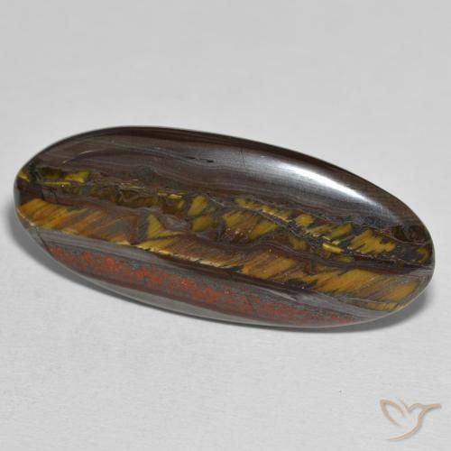 Matriz Olho de Tigre Multicolorido Natural 31.43ct, oval, Opaco