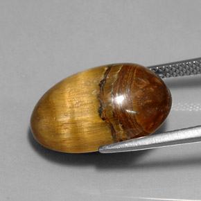 Tiger's eye marrom natural 12,90ct, corte oval, opaco