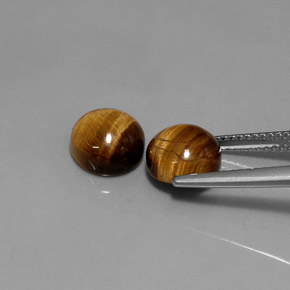 Pedras preciosas de tiger's eye marrom natural de  ct, corte redondo, opaco