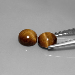 Pedras preciosas de tiger's eye marrom natural de  ct, corte redondo, opaco