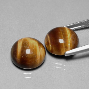 Pedras preciosas de tiger's eye marrom natural de  ct, corte redondo, opaco