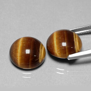 Pedras preciosas de tiger's eye marrom natural de  ct, corte redondo, opaco