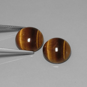 Pedras preciosas de tiger's eye marrom natural de  ct, corte redondo, opaco