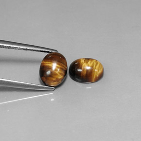Pedras preciosas de tiger's eye marrom natural de  ct, corte oval, opaco