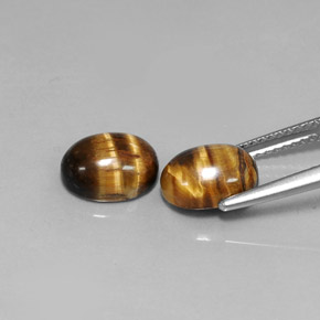 Pedras preciosas de tiger's eye marrom natural de  ct, corte oval, opaco