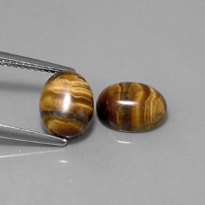 Pedras preciosas de tiger's eye marrom natural de  ct, corte oval, opaco