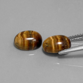 Pedras preciosas de tiger's eye marrom natural de  ct, corte oval, opaco