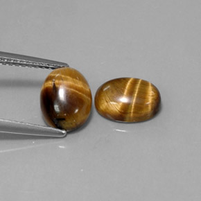 Pedras preciosas de tiger's eye marrom natural de  ct, corte oval, opaco