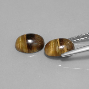 Pedras preciosas de tiger's eye marrom natural de  ct, corte oval, opaco