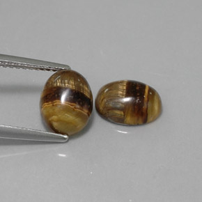 Pedras preciosas de tiger's eye marrom natural de  ct, corte oval, opaco