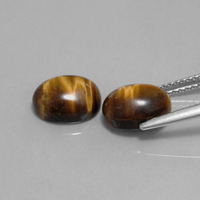 Pedras preciosas de tiger's eye marrom natural de  ct, corte oval, opaco
