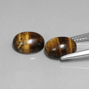 Pedras preciosas de tiger's eye marrom natural de  ct, corte oval, opaco