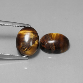 Pedras preciosas de tiger's eye marrom natural de  ct, corte oval, opaco