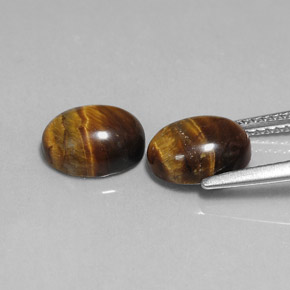 Pedras preciosas de tiger's eye marrom natural de  ct, corte oval, opaco