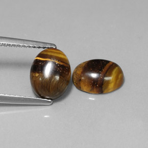 Pedras preciosas de tiger's eye marrom natural de  ct, corte oval, opaco