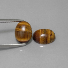 Pedras preciosas de tiger's eye marrom natural de  ct, corte oval, opaco