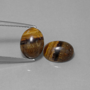 Pedras preciosas de tiger's eye marrom natural de  ct, corte oval, opaco