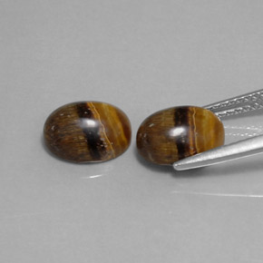 Pedras preciosas de tiger's eye marrom natural de  ct, corte oval, opaco