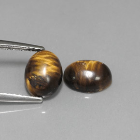 Pedras preciosas de tiger's eye marrom natural de  ct, corte oval, opaco
