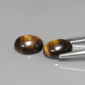 Pedras preciosas de tiger's eye marrom natural de  ct, corte oval, opaco