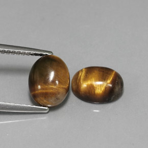 Pedras preciosas de tiger's eye marrom natural de  ct, corte oval, opaco