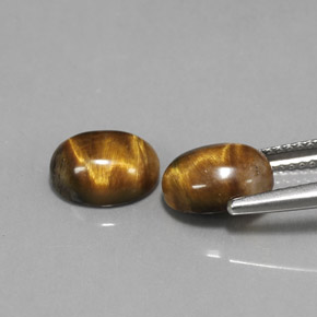 Pedras preciosas de tiger's eye marrom natural de  ct, corte oval, opaco