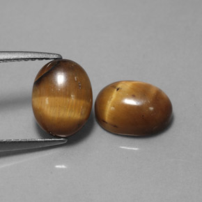 Pedras preciosas de tiger's eye marrom natural de  ct, corte oval, opaco
