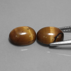Pedras preciosas de tiger's eye marrom natural de  ct, corte oval, opaco