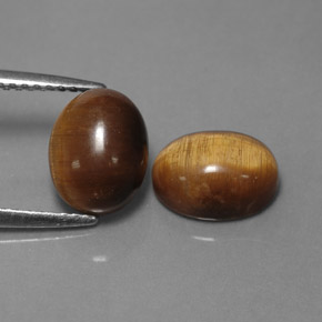 Pedras preciosas de tiger's eye marrom natural de  ct, corte oval, opaco