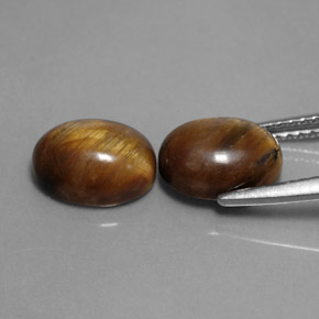 Pedras preciosas de tiger's eye marrom natural de  ct, corte oval, opaco