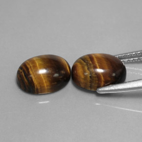 Pedras preciosas de tiger's eye marrom natural de  ct, corte oval, opaco